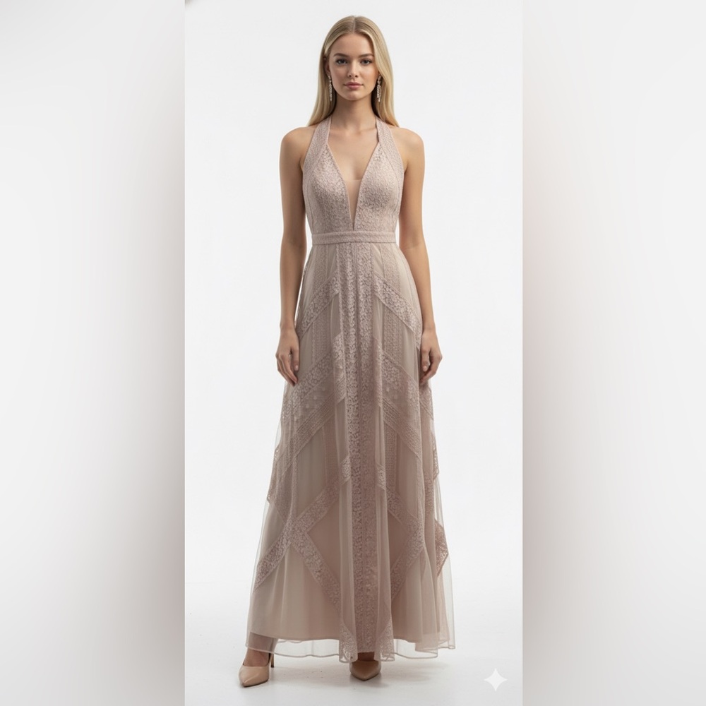 Bcbgmaxazria tulle & lace maxi dress size 6 in nude color